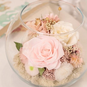 Può includere: Un terrario in una ciotola di vetro trasparente contenente una collezione di fiori conservati, tra cui una grande rosa rosa pallido, una rosa color crema, piccoli fiori di riempimento rosa e muschio verde alla base, disposti in un vaso di vetro.