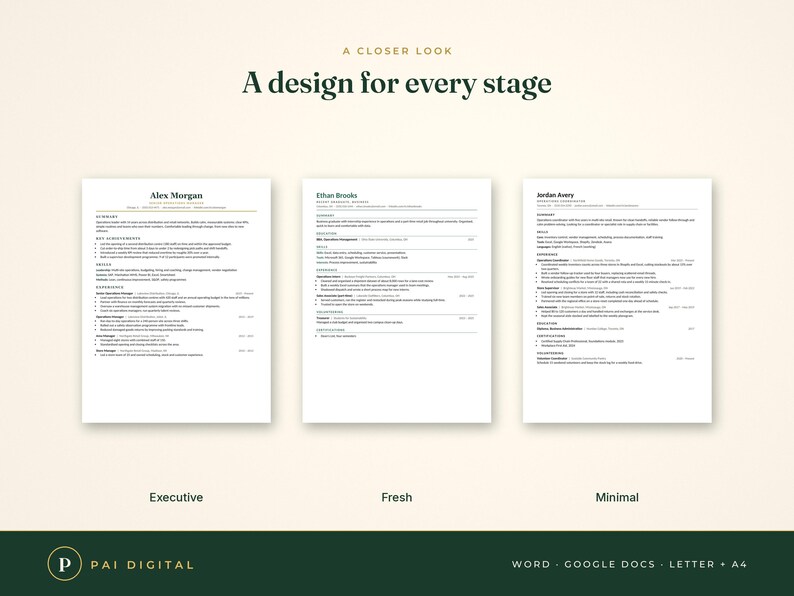 Resume Template Word Google Docs, 6 Designs + Cover Letter + References, 10 Industry Examples, ATS Friendly, Resume Guide, Job Tracker image 7