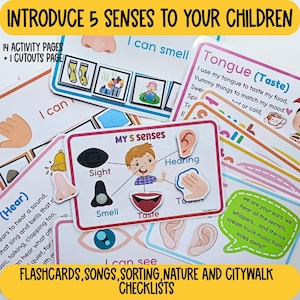 Könnte beinhalten: Ein Set aus pädagogischen Arbeitsblättern und Lernkarten mit dem Titel Introduce 5 Senses to Your Children. Die Karten zeigen bunte Illustrationen von Nase, Ohr, Auge, Hand und Mund sowie erklärende Texte zu Sehen, Riechen, Hören, Schmecken und Fühlen.