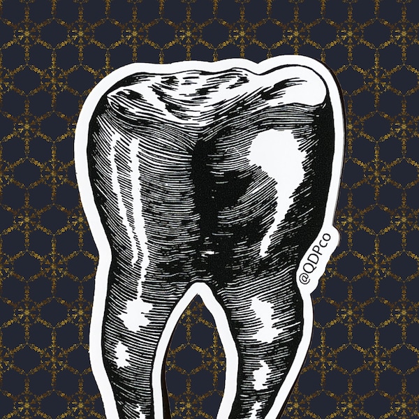 Molar Tooth - Vinyl Sticker - Dentist Inspired