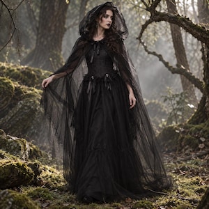 May include: A black floor-length dress featuring a fitted bodice and a full skirt with tiered layers. The garment includes a sheer, hooded cape made of fine mesh fabric that drapes over the shoulders and ties at the neck with a ribbon.