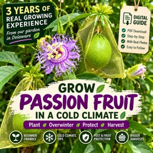 May include: A passion fruit plant with a purple flower and green fruit encased in a mesh bag. Text reads: 3 YEARS OF REAL GROWING EXPERIENCE, DIGITAL GUIDE, GROW PASSION FRUIT IN A COLD CLIMATE, Plant, Overwinter, Protect, Harvest, Beginner Friendly.