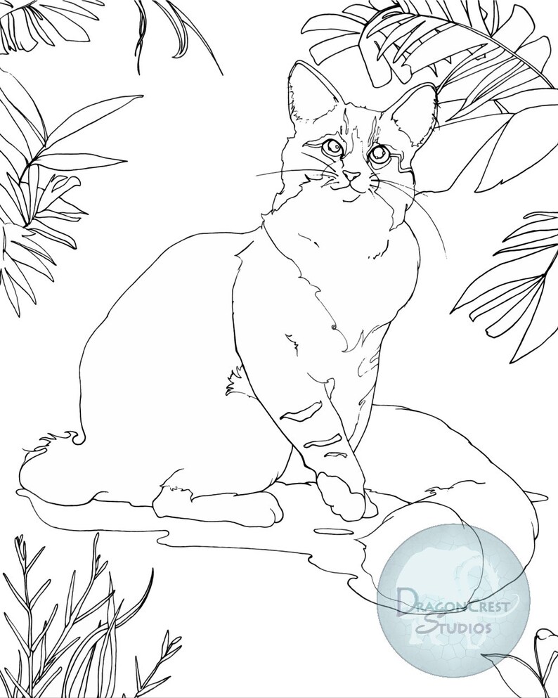 Maine Coon Cat Coloring Page Print-it-Yourself Digital | Etsy
