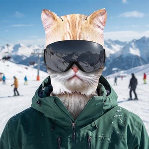 May include: A ginger tabby cat wearing large black ski goggles with a reflective lens showing a mountain landscape. The cat is dressed in a dark green hooded winter jacket with a front zipper and multiple pockets, set against a snowy mountain.
