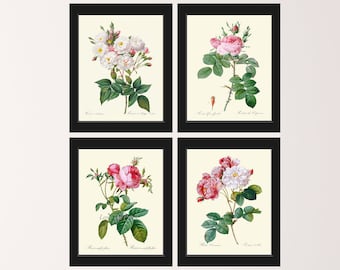 Vintage Roses Botanical Print SET of 4 Wall Art Prints Antique Pink White Flowers French Garden Bedroom Dining Room Home Decor ro Frame LRR