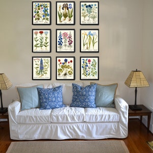 Botanical Flower Print Set of 9 Besler 8x10 Art Beautiful Blue White ...