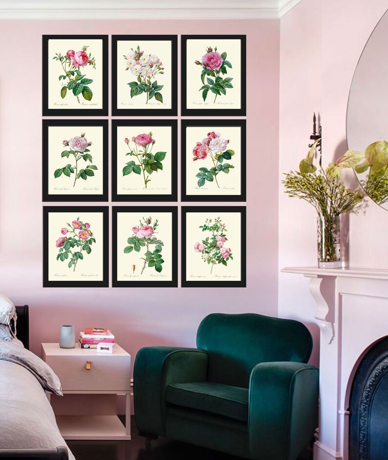 Vintage Roses Botanical Print Set of 9 Wall Art Prints Pink White ...