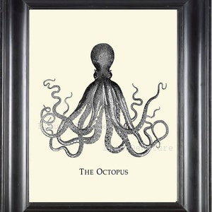 OCTOPUS 8x10 Art Print 1 Beautiful Black and White Antique Sea Ocean Nature to Frame Home Decoration Wall Hanging