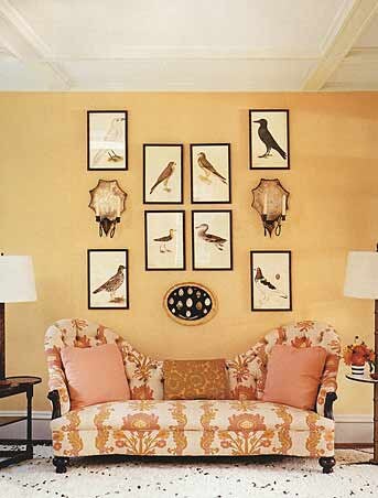 BIRD PRINT 8X10 Art Print 8 Antique Beautiful Colored Orange - Etsy