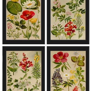 Botanical Print SET of 4 Wall Art Prints Beautiful Antique Vintage ...