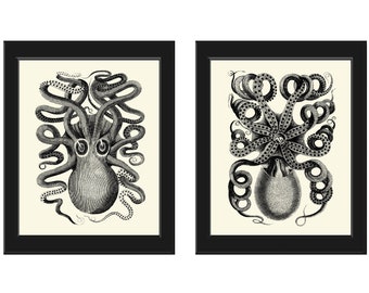 Octopus Print Wall Art Set of 2 Prints Beautiful Antique Sea Ocean Beach Marine Nautical Nature Bathroom Office Home Room Decor to Frame GSZ