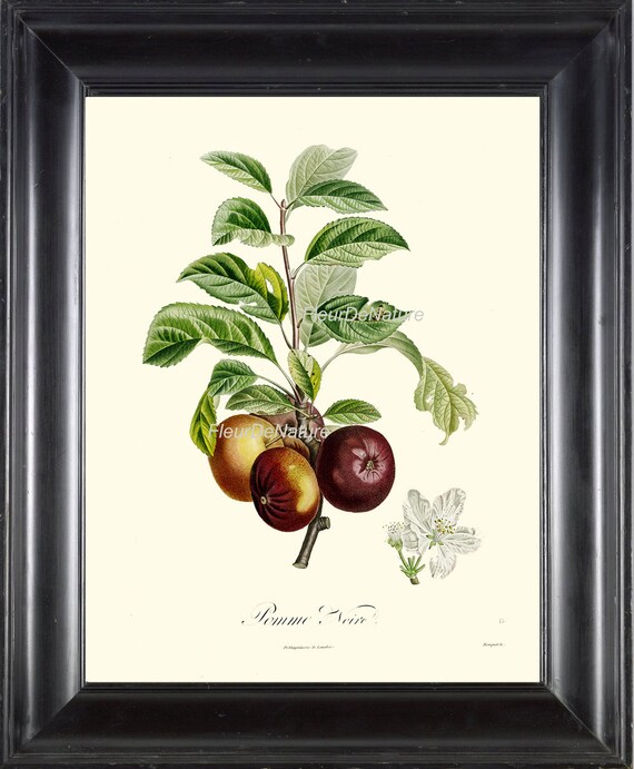 フランスアンティーク石版画2点セット フレーム付き 2点セット