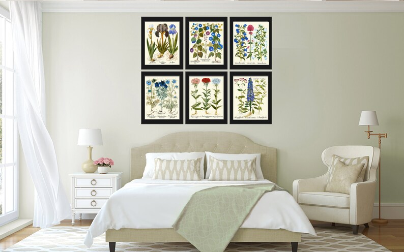 Botanical Flower Print Set of 6 Besler 8x10 Art Beautiful Blue White ...