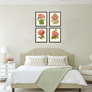 Botanical Print SET of 4 Wall Art Prints Beautiful Antique Pink Peach ...