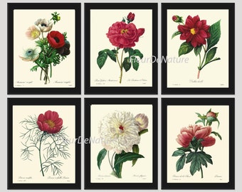 Botaniczny Print zestaw 6 sztuki drukuje 8X10 Redoute kwiat biały czerwony piwonia antyczne lato ogród domu ściany pokój wystrój wnętrz do ramki