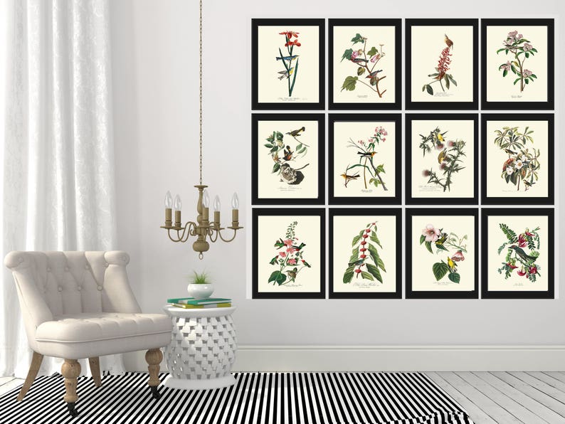 AUDUBON BIRD PRINT Art 70 Beautiful Antique Field Sparrow Pink Flowers ...