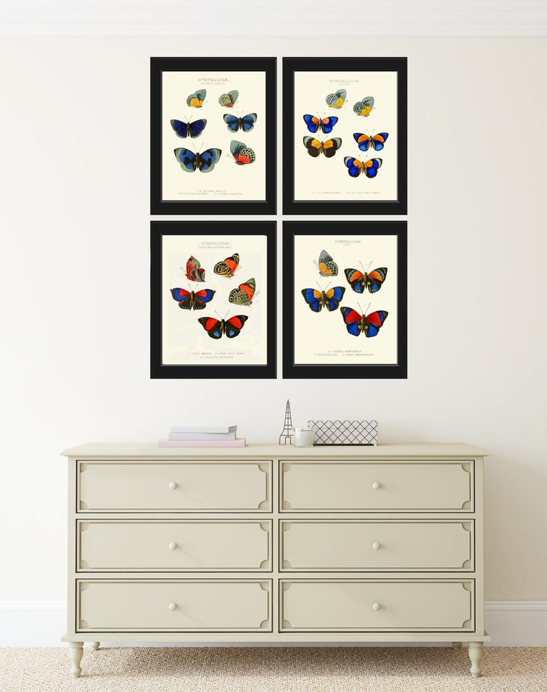 Butterfly Print Wall Art WH21 Beautiful Antique Butterflies Red Orange Spring Summer Garden Chart Home Room Decor Illustration to Frame image 4