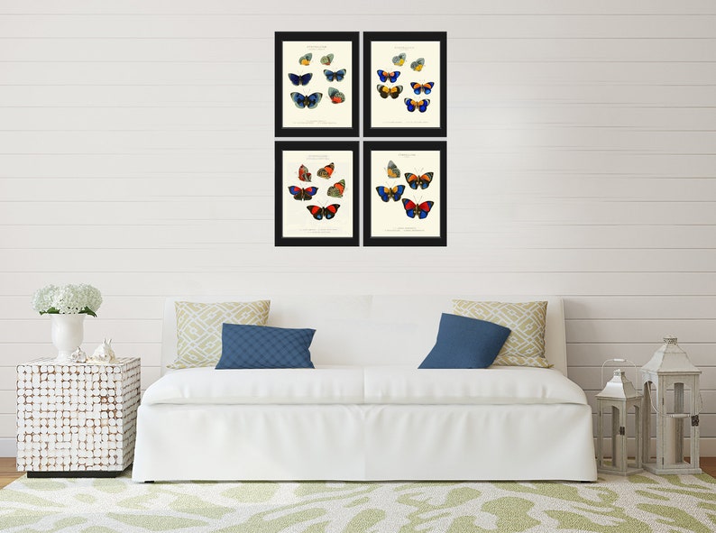 Butterfly Wall Art Print Set of 4 Prints Beautiful Antique Etsy