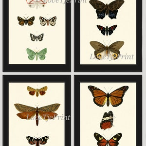 Antieke vlinder Print SET van 4 Prints mooie muur kunst antiek natuurlijke wetenschap grafiek zomer tuin Insect groene natuur Home Decor