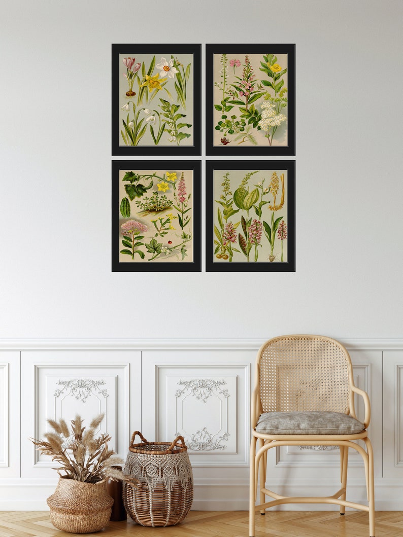 Botanical Print SET of 4 Wall Art Prints Beautiful Antique Vintage Gray ...