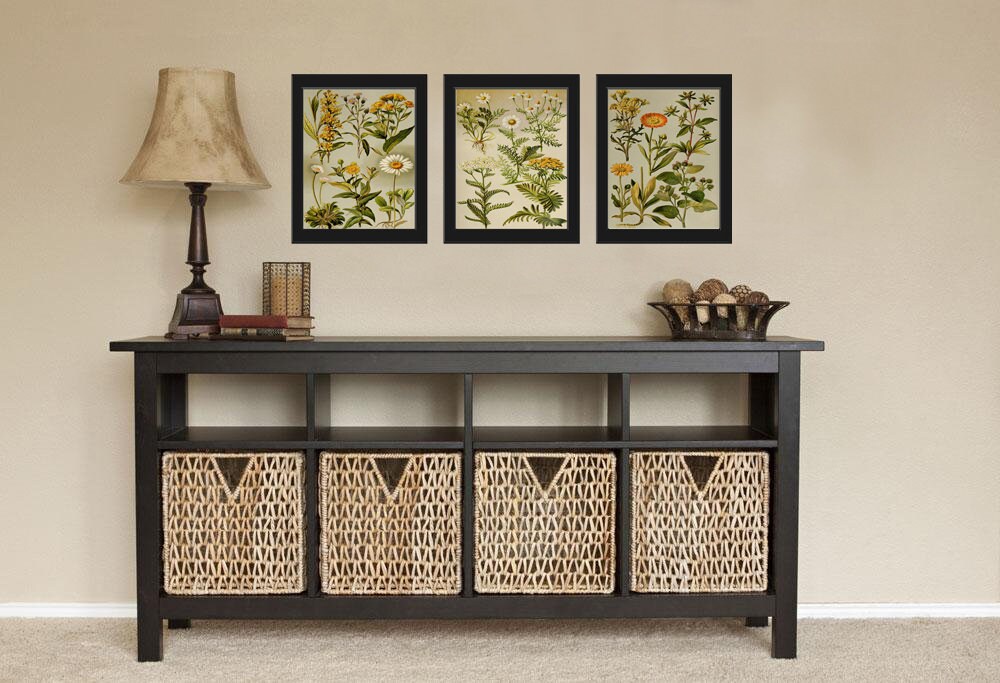 Daisy Daisies Botanical Print Set of 3 Wall Art Antique Beautiful White ...