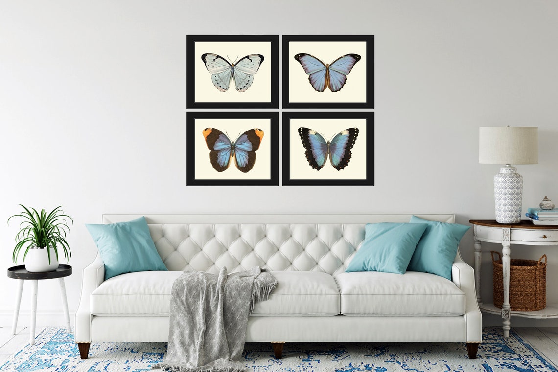 Blue Butterflies Wall Art Print SET of 4 Beautiful Antique Etsy