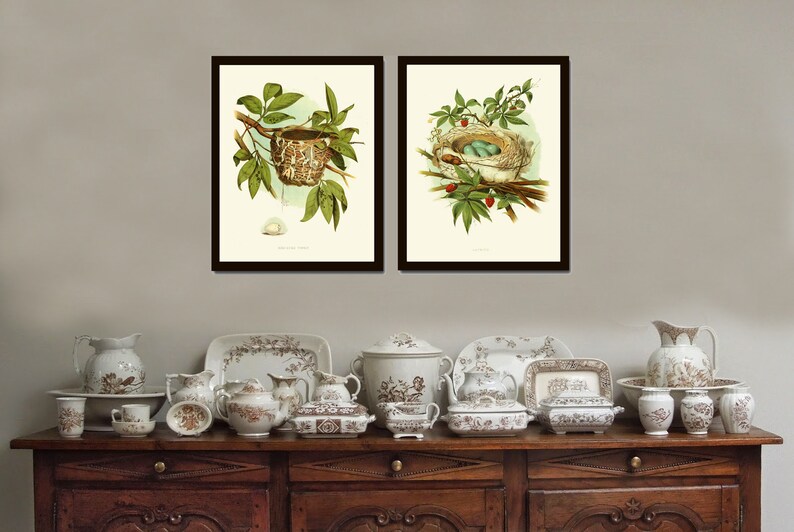 Bird Nest Print Set of 2 Prints Beautiful Antique Vintage Red Eyed ...