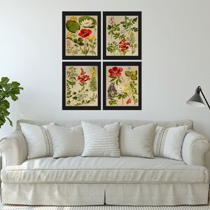 Botanical Print SET of 4 Wall Art Prints Beautiful Antique Vintage ...