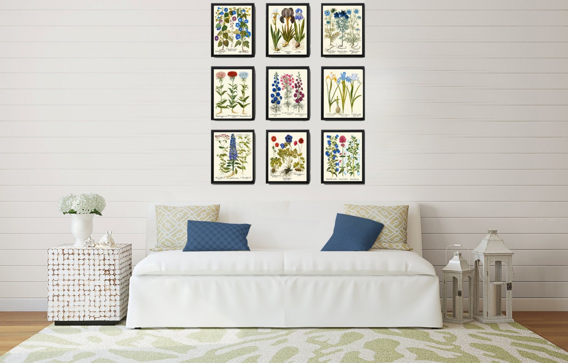 Botanical Flower Print Set of 9 Besler 8x10 Art Beautiful Blue White ...