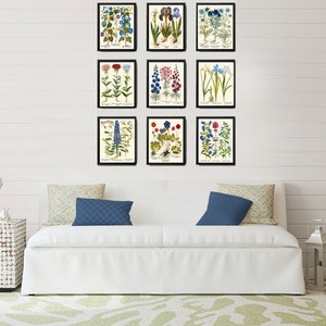 Botanical Flower Print Set of 9 Besler 8x10 Art Beautiful Blue White ...