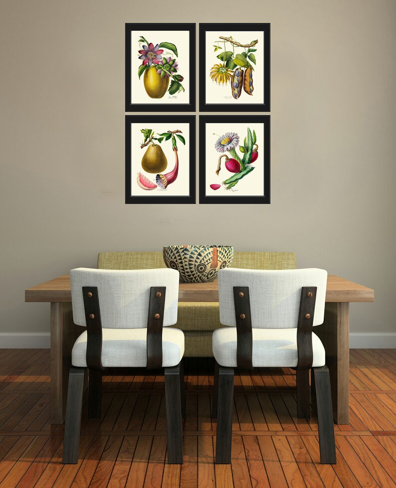 Tropical Fruit Botanical Print SET of 4 Wall Art Prints Beautiful ...