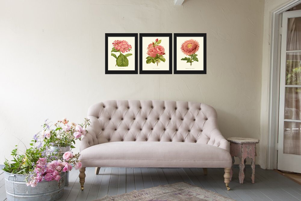 Pink Flowers Botanical Print Set of 3 Prints Beautiful Antique Peach ...
