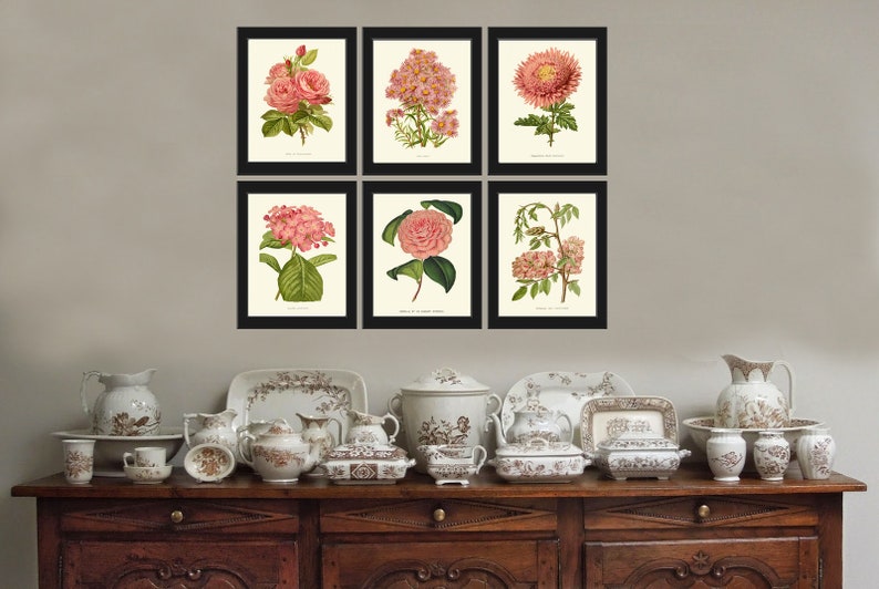 Pink Flowers Botanical Print SET of 6 Prints Wall Art Beautiful Antique ...