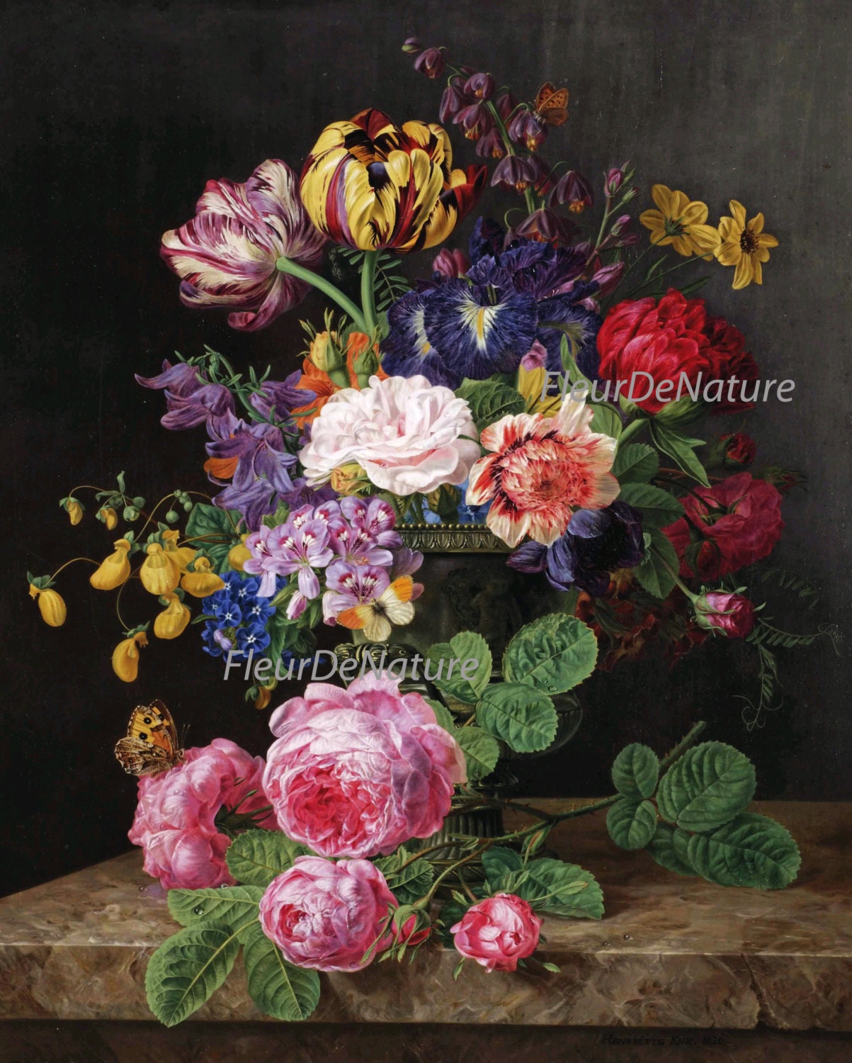 Flower Print SET of 16 Botanical Art Print 8X10 JFD Antique