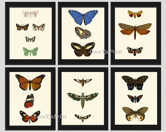 Butterfly Print SET of 6 Prints Beautiful Wall Art Antique Blue Green Natural Science Chart Summer Garden Insect Green Nature Home Decor