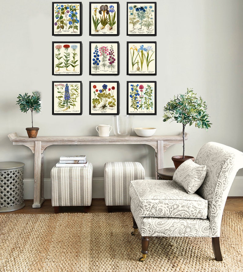 Botanical Flower Print Set of 9 Besler 8x10 Art Beautiful Blue White ...