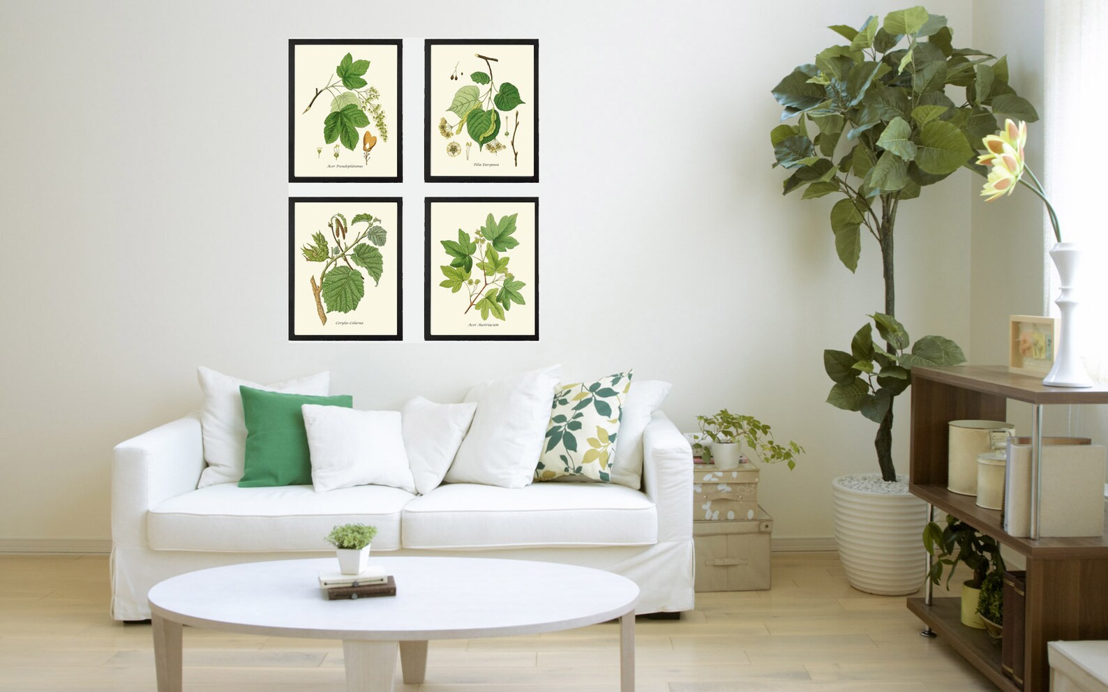 Trees Botanical Print SET of 4 Wall Art Prints Beautiful Antique ...