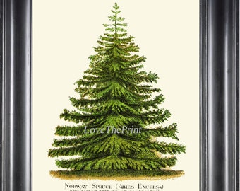 Kerstboom Pine Print Wall Art Mooie Botanische Groene Antieke Noorse Sparren Spar Vakantiehuis Kamer Decor Decoratie Foto op frame