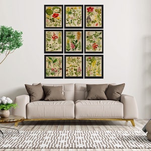 Botanical Flowers Print Set of 9 Vintage Antique Wall Art Beautiful ...
