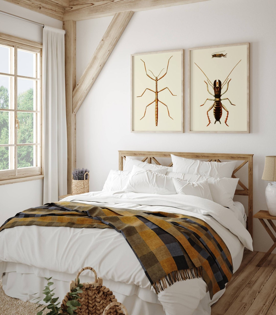 Walking Insect Print Wall Art Set of 2 Beautiful Antique Vintage Bug ...