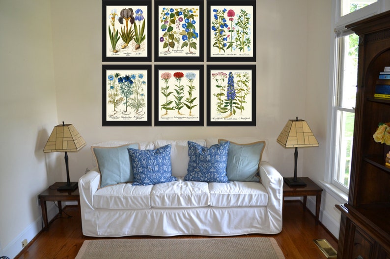 Botanical Flower Print Set of 6 Besler 8x10 Art Beautiful Blue White ...