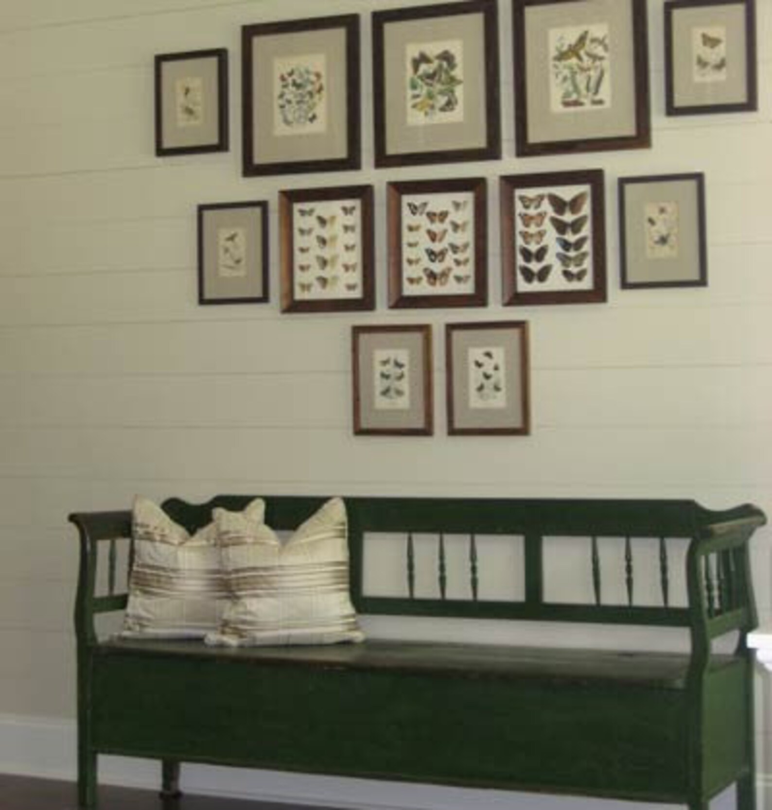 BUTTERFLY PRINT D'orbigny 8x10 Botanical Art Print 1 Etsy