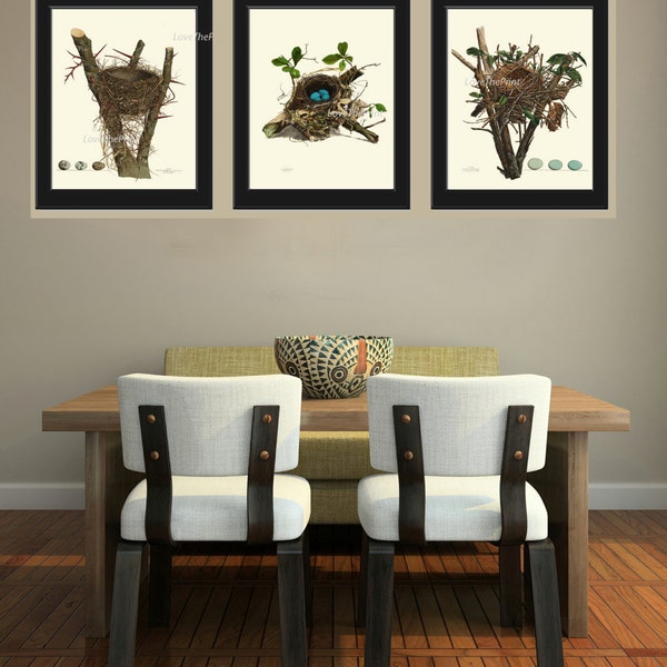 Bird Nest Egg Print SET of 3 Botanical Art 8X10 Antique Natural Science Forest Summer Nature to Frame Home Wall Room Decor Beautiful NN