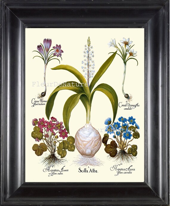 left botanical ︎× left botanical left_botanical レフトボタニカル 鉢 Left botanical