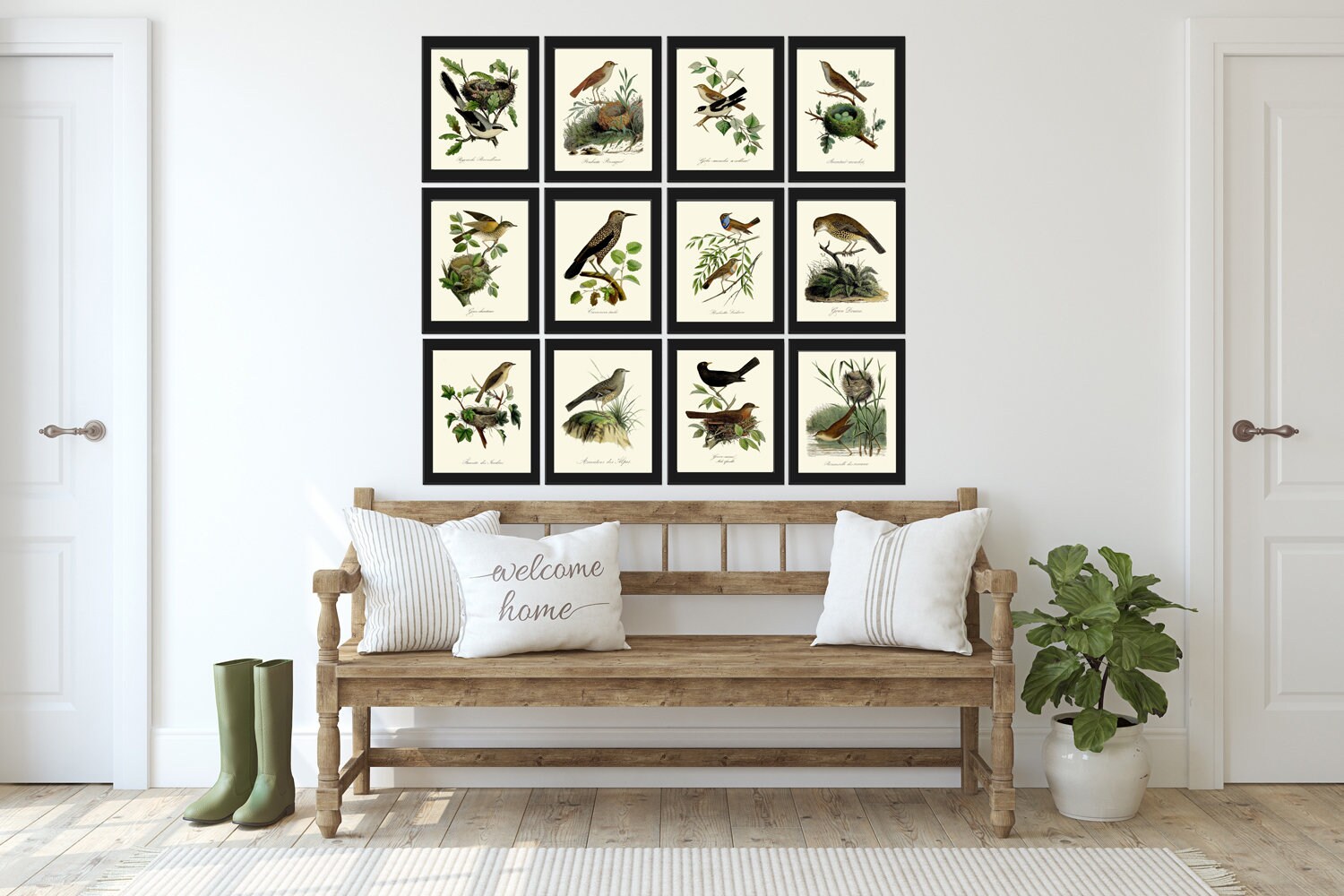 Vintage Bird Print Wall Art Alpine Accentor DCF45 Beautiful Antique ...