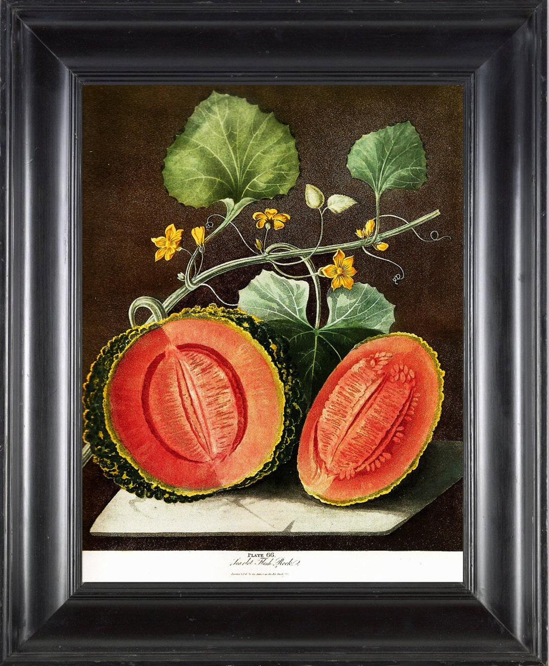 アンティーク　絵　水彩画　果物　antique フランス il_1080xN.318960194.jpg