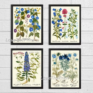 Botanical Flower Print Set of 4 Besler 8x10 Art Beautiful Blue White ...