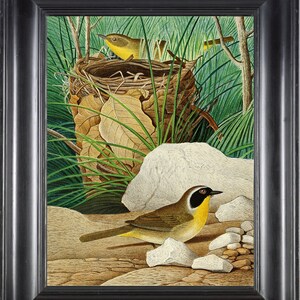 Maryland Common Yellowthroat Bird Wall Art Print 39 Beautiful Antique Vintage Nest Home Room Cabin Cottage Decor Illustration to Frame GT