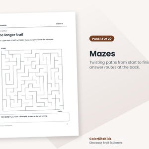 May include: A white activity sheet titled The longer trail, featuring a black-lined square maze with start and finish points. The page includes the text ColorKiteKids, AGES 8-10, and instructions to draw a path. A brown tag reads PAGE 13 OF 20.