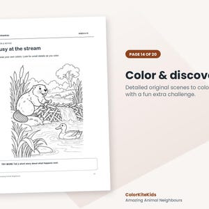 May include: A black and white coloring page titled Busy at the stream featuring a beaver on a dam and a duck in the water. The page includes the text ColorKiteKids, AGES 6-10, and a prompt to tell a short story about what happens next.